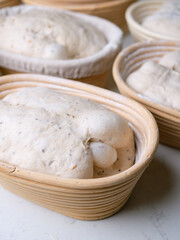 Sourdough Bread in Proofing basket, bannetons baskets for retarding raw dough before baking.
