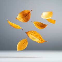 Obraz premium Autumn leaves falling