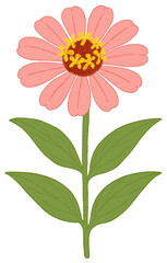 Warm Orange Daisy Flower Illustration