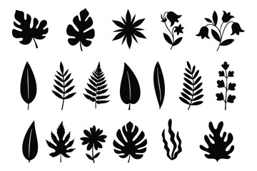 Fototapeta premium Botanical Silhouette Collection