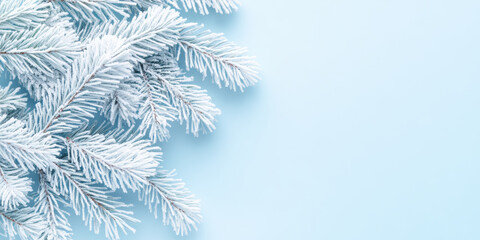 Obraz premium Frost covered pine branches on light blue background signaling the arrival of winter season