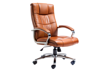 Ergonomic Office Chair Isolated