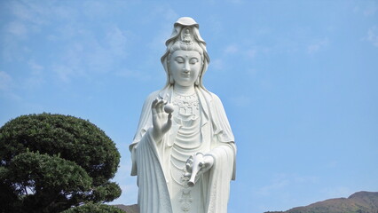 Obraz premium Famous Guanyin statue in Hong Kong - The Faith of asian.White Guanyin Statue Surrounded by Trees