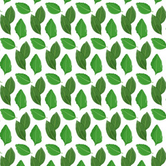 Naklejka premium Leaves or herbal on white background. Vector pattern. Fresh greenery. Flat style