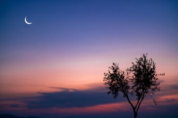 Fototapeta premium Minimalistic silhouette of tree and crescent moon at sunset in colorful serene sky landscape.