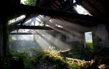 Sunbeams Illuminate Overgrown Ruins of an Old Stone Building