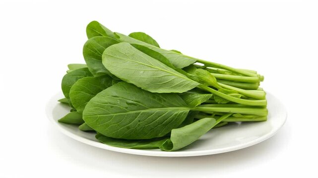 Fresh Green Choy Sum on White Plate Still Life