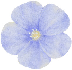 Watercolor blue flower botanical natural element hand-drawn