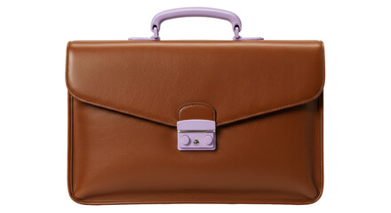 Isolated Brown Leather Briefcase