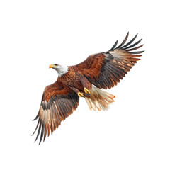 Obraz premium Majestic Bald Eagle in Flight Against On Transparent Background