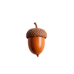 A single acorn with a textured cap and smooth bottom, isolated on a transparent background.