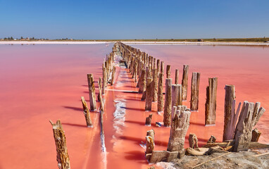 Obraz premium Wooden Posts in Pink Salt Lake
