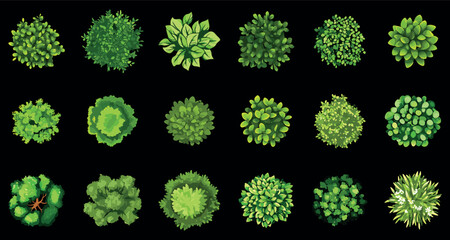 Top view green bushes shrubs and trees set. Architectural botanical landscape garden design plan floor plants. Eco flora park decoration element. Cartoon style vector clipart collection