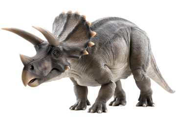 A lifelike representation of a Triceratops, showcasing its distinctive three-horned face and armored body, capturing the essence of the prehistoric era.