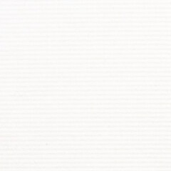 Watercolor paper texture. Paper texture for use as a background