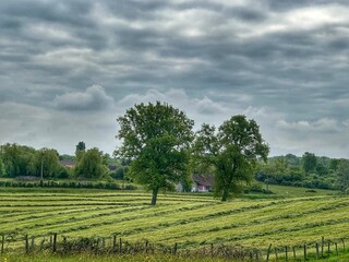 Paysage en Bresse Bourguignonne 