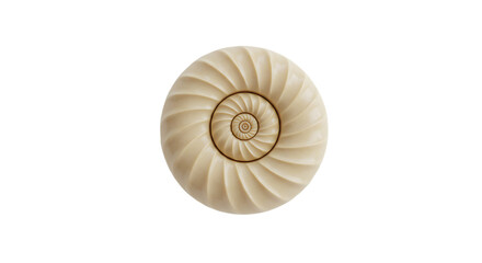 Obraz premium Entrancing Ivory Vortex: A mesmerizing spiral pattern on clean white backdrop