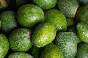 Fresh green avocados stacked together, ready for sale at a local market, highlighting the organic goodness of produce