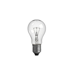 A classic incandescent light bulb with a clear glass globe and a silver base.
