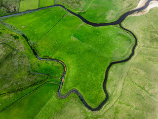 Gewundener Fluss durch grüne Felder aus der Vogelperspektive