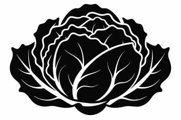cabbage silhouette line art vector on white background