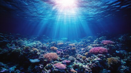 Fototapeta premium Underwater paradise Sunlit ocean illuminates vibrant coral reef