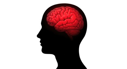 Simple logo of half a face and brain with cracks, symbolizing mental health and self-awareness.