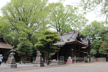 玉敷神社の拝殿