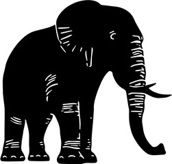 elephant vector illustration transfer background