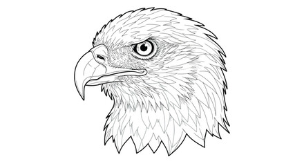 Majestic Bald Eagle Head Detail Black and White Adult Coloring Template