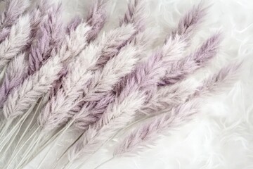Obraz premium Close-up view of a bunch of delicate, pastel-colored dried flowers.