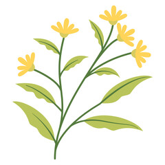 yelllow flowers in isolated white 