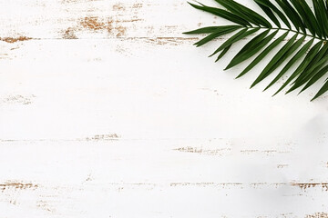 Minimalist Wooden Background with Green Leaf