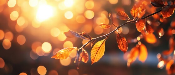 Autumn leaves on branch