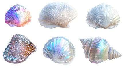 set of seashells