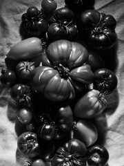 Black and white photo of tomatoes on tablecloth