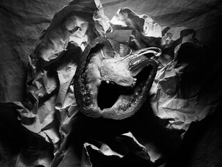 Abstract concept of food waste. Vintage food background photo