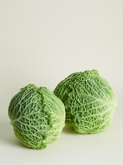 Savoy cabbage over beige background