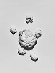 black and white photo of fresh cabbage, broccoli, cauliflower