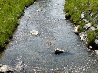 Tranquil stream flowing through grassy landscape with rocks