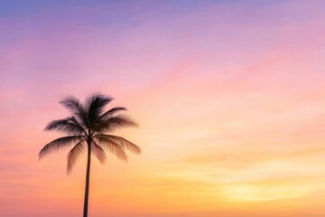 Palm tree at sunset