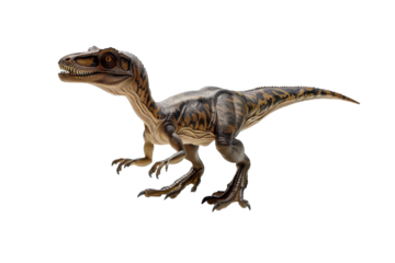 The World of Velociraptors: Insights into Their Hunting Skills Isolated On White Background