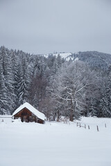A tranquil winter landscape featuring a snow-covered farmhouse amidst dense evergreen trees in a serene rural setting. Carpathian Mountains, Ukraine