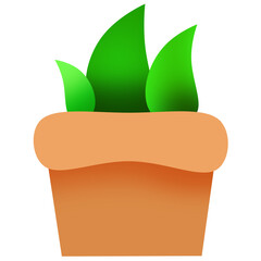 green plant in a pot