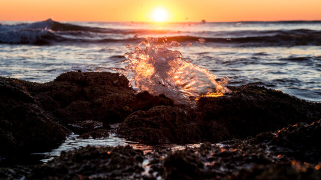 A sunlit wave splatter looking like a butterfly