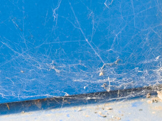 Dusty cobwebs on blue surface with dirt and debris