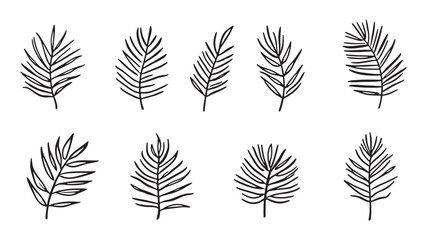 leaf of palm tree line art elegant tropical plant sketch artwork