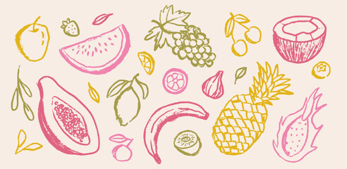 Set of abstract ink tropical fruits. Abstract healthy food sketches in minimalist ink chalk or charcoal style. Doodle pitahaya, papaya
