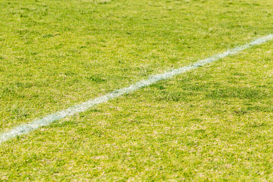 White line on grass on playing field