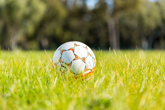 Fototapeta Soccer ball in grass